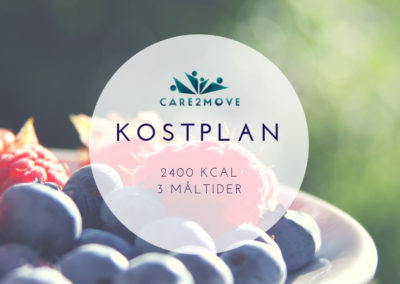 Kostplan